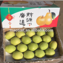 Ano 2016 New Season Shandong Pears